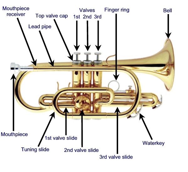 cornet parts
