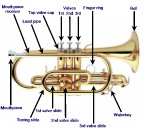 Anatomy of a cornet
