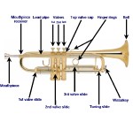 Anatomy of a trumpet