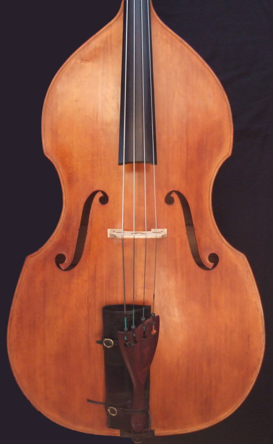 Malcolm Healey double bass front