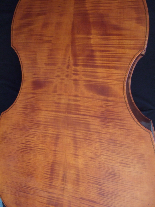 Malcolm Healey double bass back